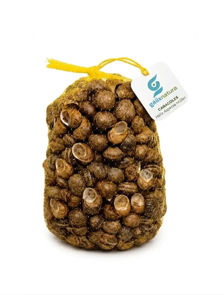 Caracoles frescos Helix Aspersa Müller 2,5 Kg
