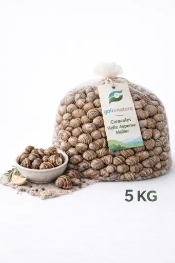 Caracoles frescos Helix Aspersa Müller 5 Kg