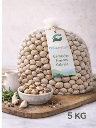 [PR/00043] Caracoles frescos Cabrilla 5 Kg