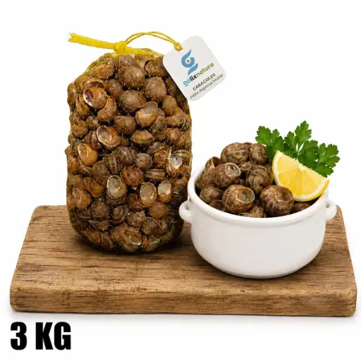 Caracoles frescos Helix Aspersa Müller 3 Kg 